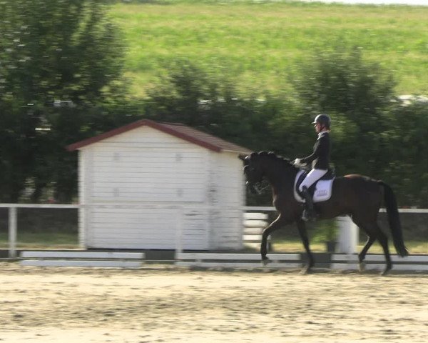 Reitturnier Menden 2022