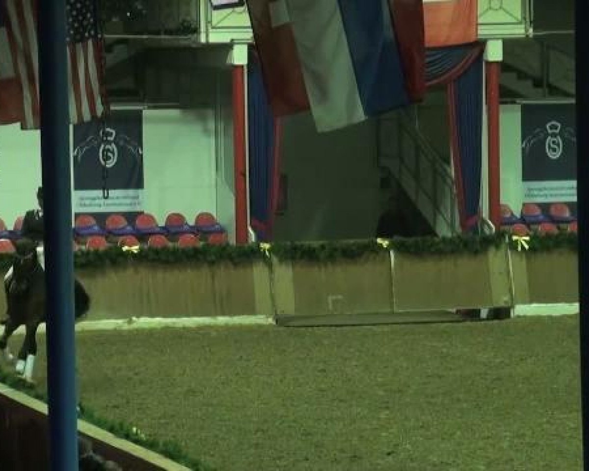 stallion Wonder Boy (KWPN (Royal Dutch Sporthorse), 2003, from Ramon)