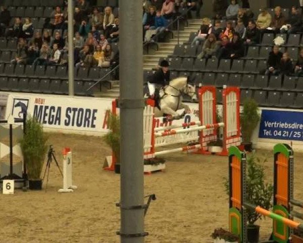 Avlshoppe Castellijn Z (Zangersheide, 2003, fra Coriano) - VER-Dinale 2012
Samstag, den 28.01.2012
21 Mannsch.-Springprfg.Kl.A* mit 1 Umlauf
