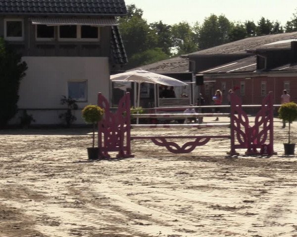 Reitturnier Datteln 2022