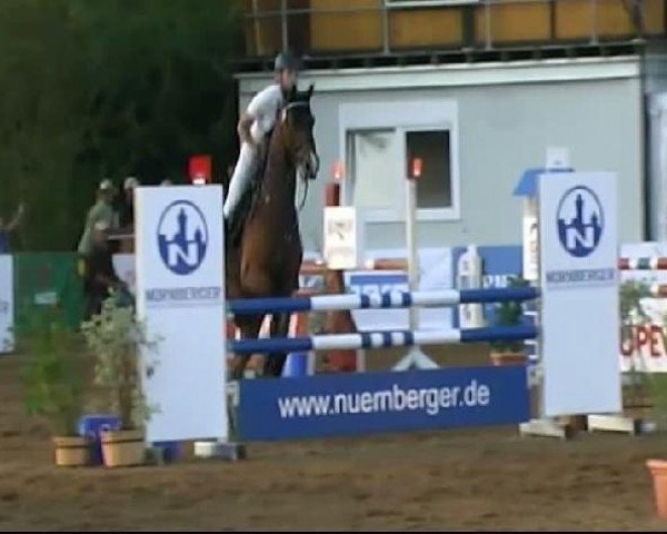 jumper Romero 99 (Hanoverian, 2003, from Rubin Royal OLD)