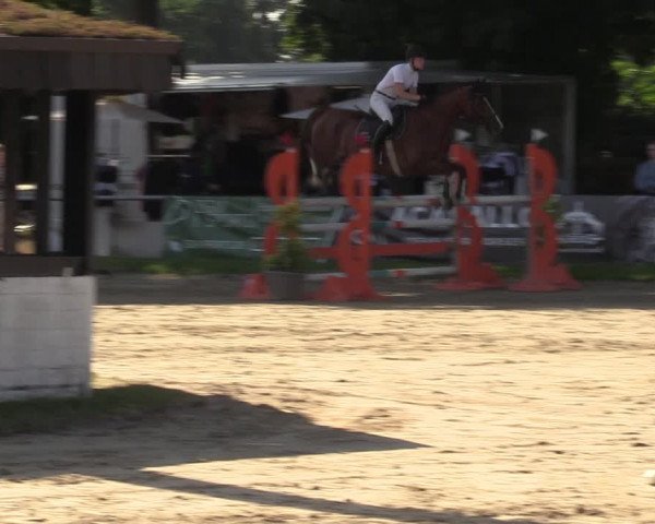 Reitturnier Datteln 2022