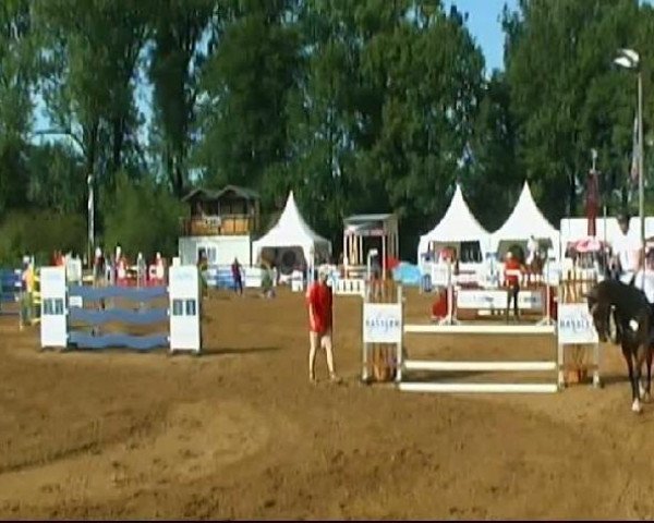 jumper Quita de La Rosa (Oldenburg show jumper, 2002, from Quincy Z)