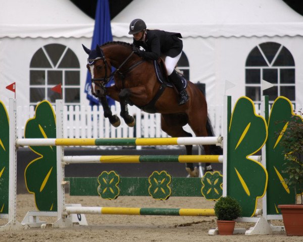 Springpferd Coppermine Fbh (Westfale, 2004, von Cornet Obolensky)