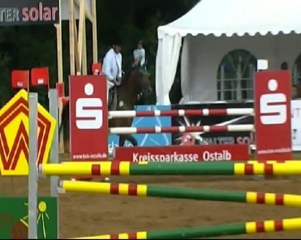 jumper Letargo (Württemberger, 1996, from Landioso)