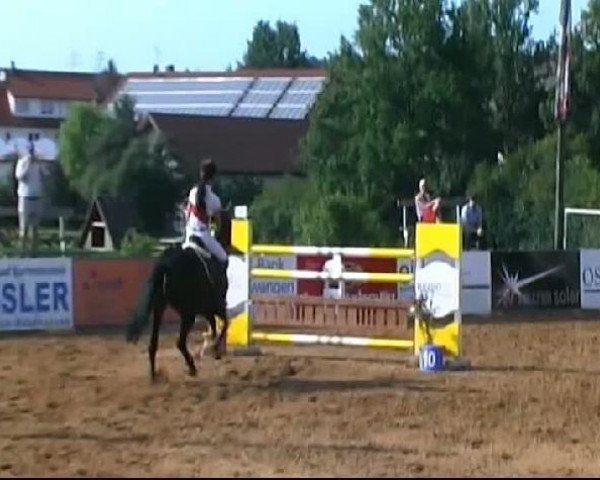 jumper Rubinja 9 (Oldenburg, 2002, from Rubin Royal OLD)