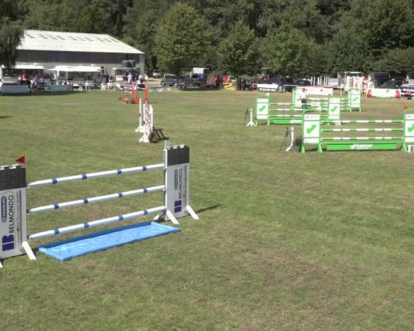 Reitturnier Kellinghusen 2022