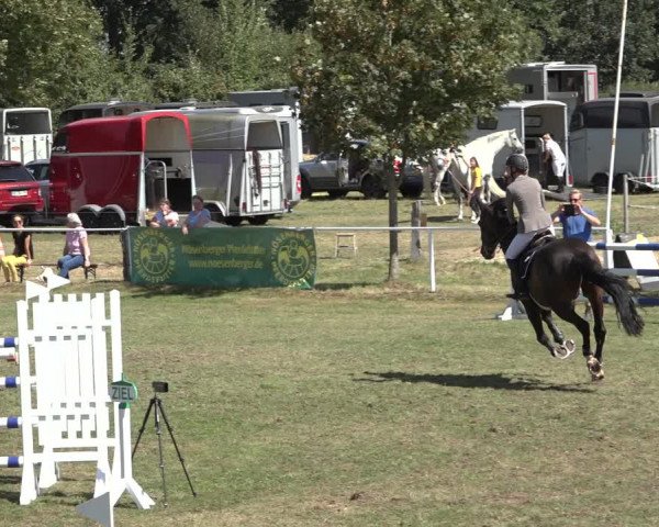 Reitturnier Kellinghusen 2022
