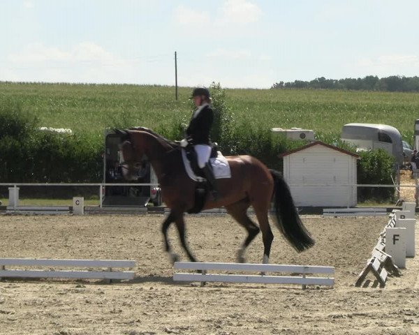 Reitturnier Menden 2022