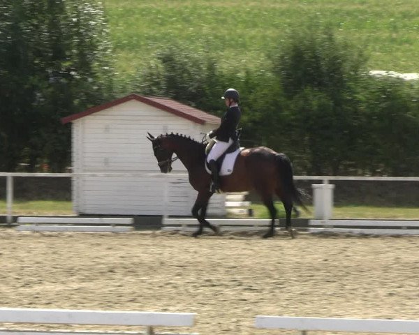 Reitturnier Menden 2022
