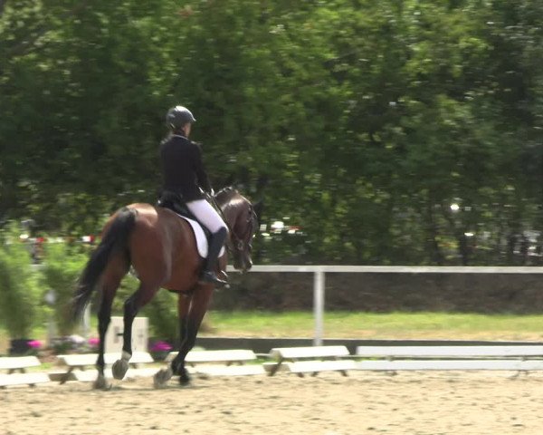 Reitturnier Menden 2022