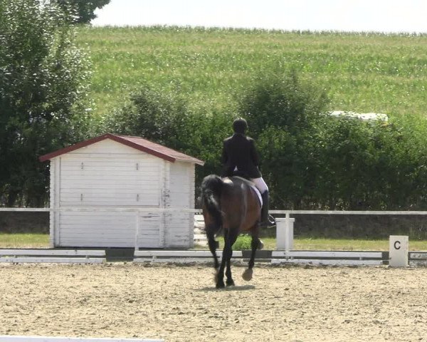 Reitturnier Menden 2022