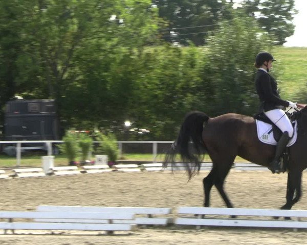 Reitturnier Menden 2022