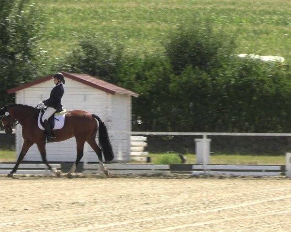 Reitturnier Menden 2022