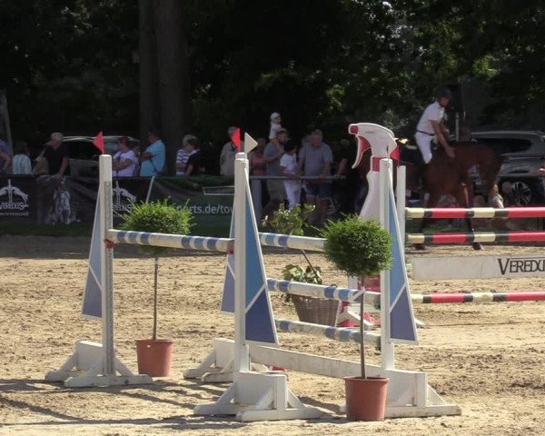 Reitturnier Datteln 2022