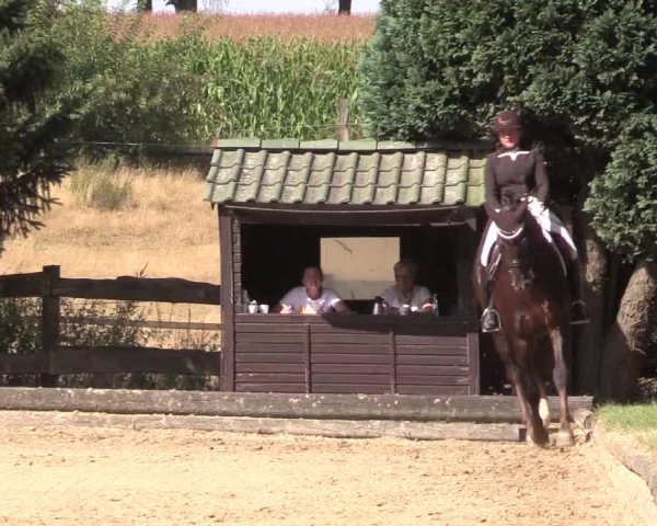 Reitturnier Datteln 2022