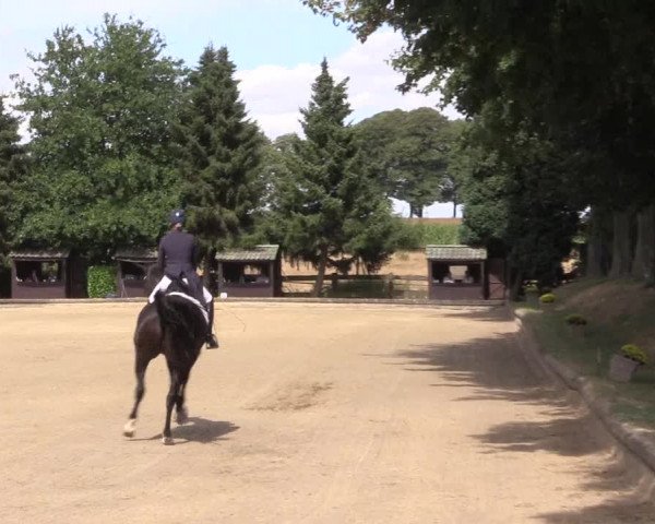 Reitturnier Datteln 2022