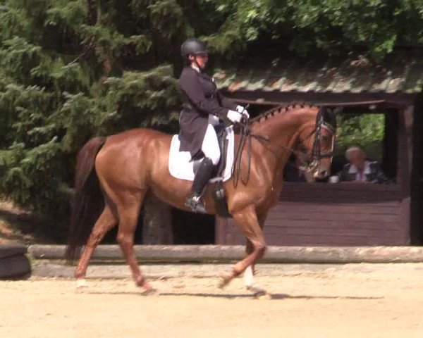 Reitturnier Datteln 2022