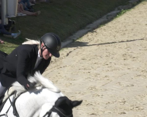 Reitturnier Bergisch Gladbach SPR 2022