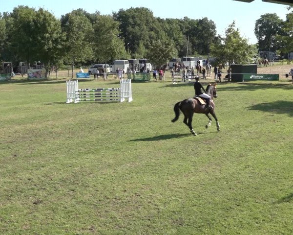 Reitturnier Kellinghusen 2022