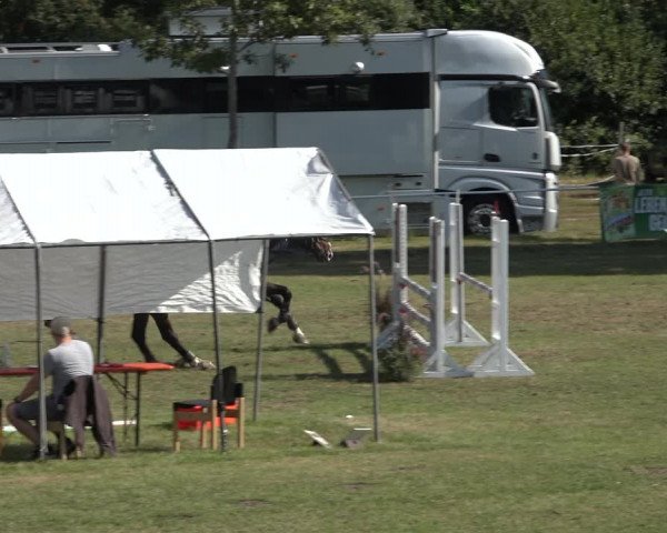 Reitturnier Kellinghusen 2022