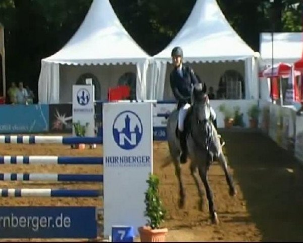 Springpferd Cupido 56 (Holsteiner, 2004, von Caretino)