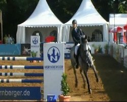 jumper Cupido 56 (Holsteiner, 2004, from Caretino)