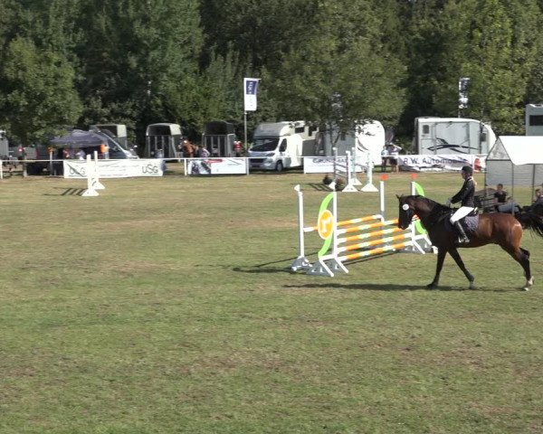Reitturnier Kellinghusen 2022