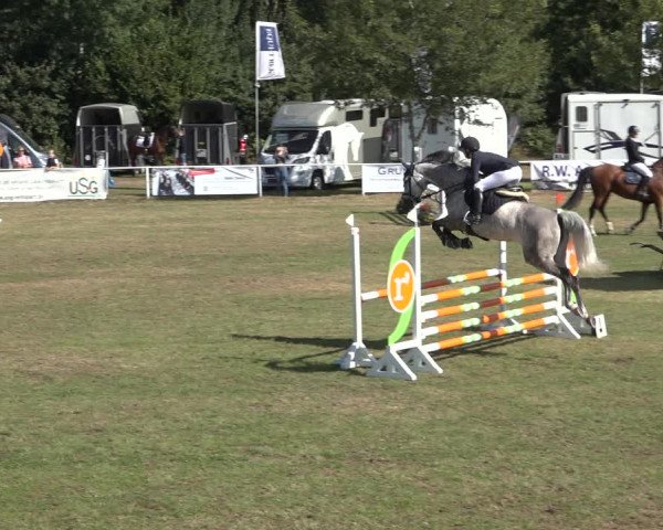 Reitturnier Kellinghusen 2022