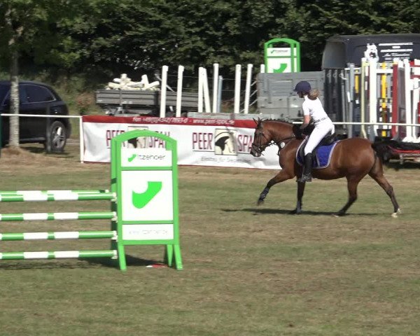 Reitturnier Kellinghusen 2022