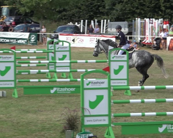 Reitturnier Kellinghusen 2022