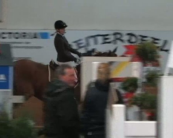 Springpferd Foster 22 (Westfale, 1999, von Focus)