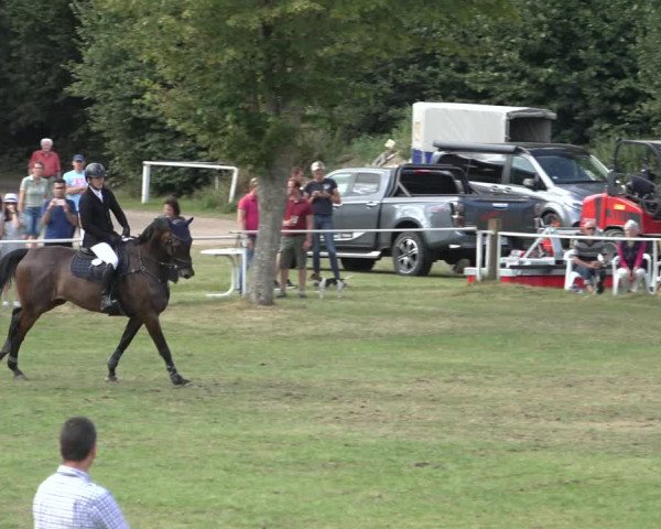 Reitturnier Kellinghusen 2022