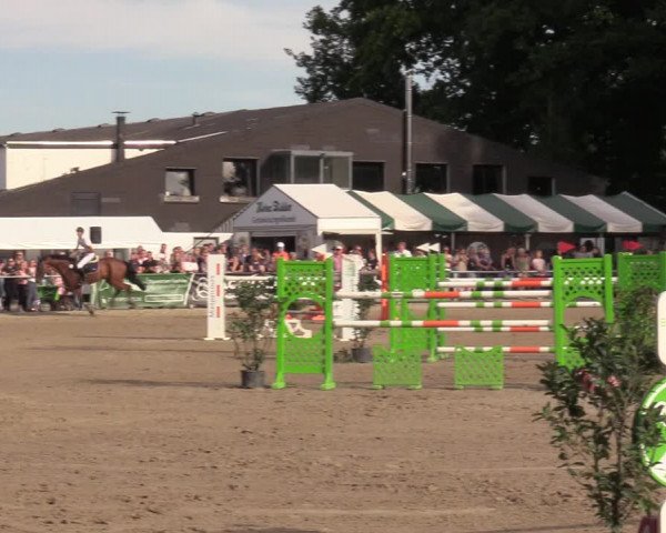 Reitturnier Datteln 2022