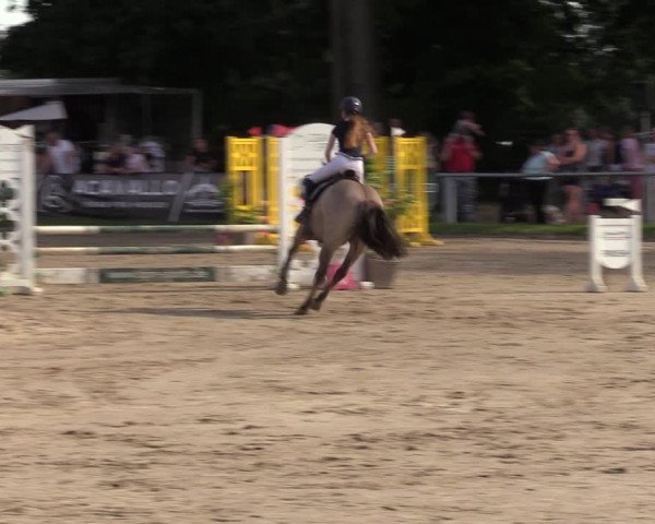 Reitturnier Datteln 2022