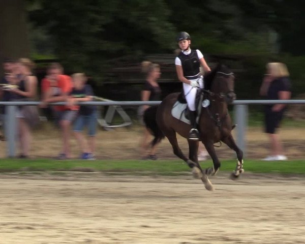 Reitturnier Datteln 2022