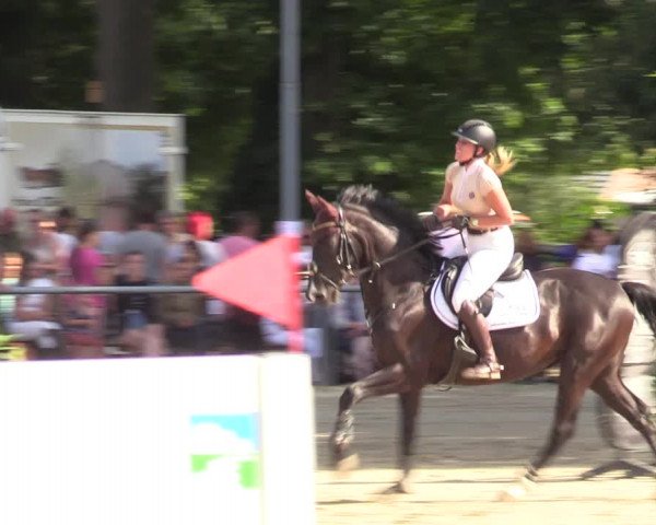 Reitturnier Datteln 2022