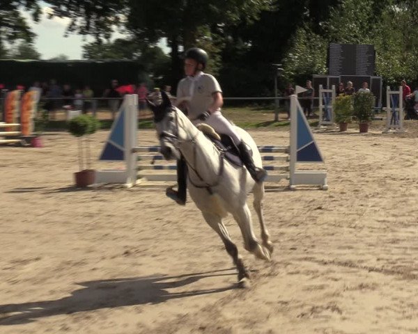 Reitturnier Datteln 2022