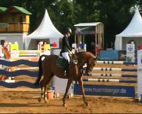 jumper Cover Boy 8 (Württemberger, 2005, from Candillo Z)
