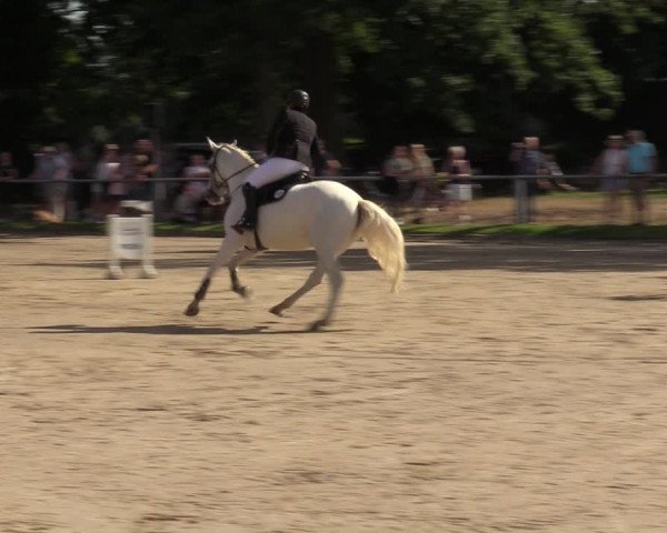 Reitturnier Datteln 2022