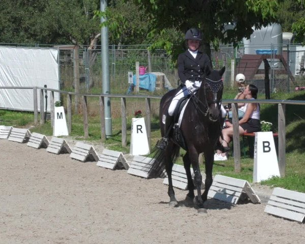 Reitturnier Köngen 2022