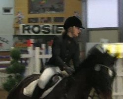 Springpferd Luxxus (Rheinländer, 2001, von Lehnsherr GL)