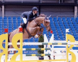 jumper Koby du Vartellier (Selle Français, 1998, from Espoir Breceen)