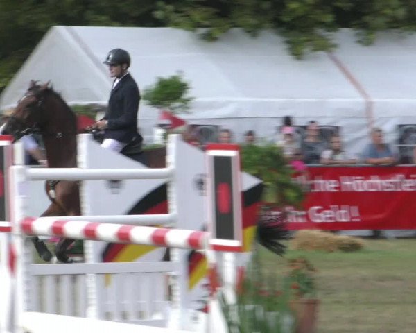 Reitturnier Aschersleben 2022