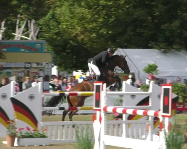 Reitturnier Aschersleben 2022