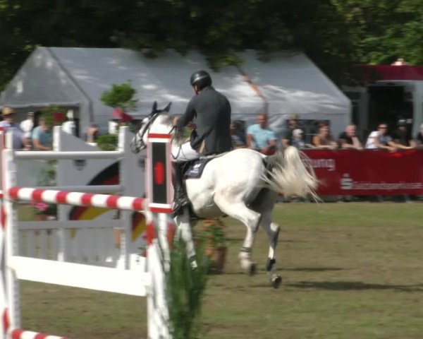 Reitturnier Aschersleben 2022
