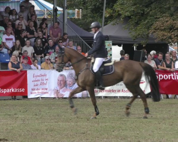 Reitturnier Aschersleben 2022