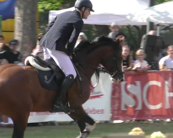 Reitturnier Aschersleben 2022
