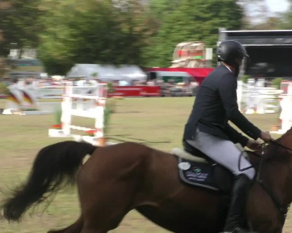 Reitturnier Aschersleben 2022
