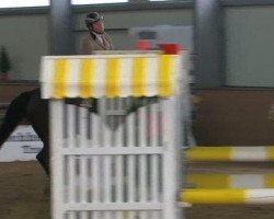 jumper Chanel VH Hezerhof (Belgian Warmblood, 2002, from Parco)